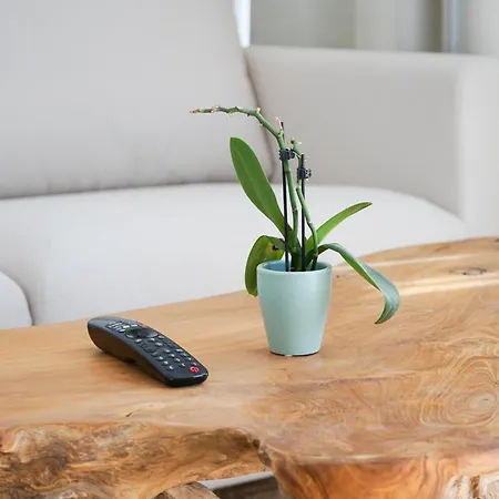 Casa Fuerteremote - New And Modern House With Office & Pool In Corralejo דירה לה אוליבה